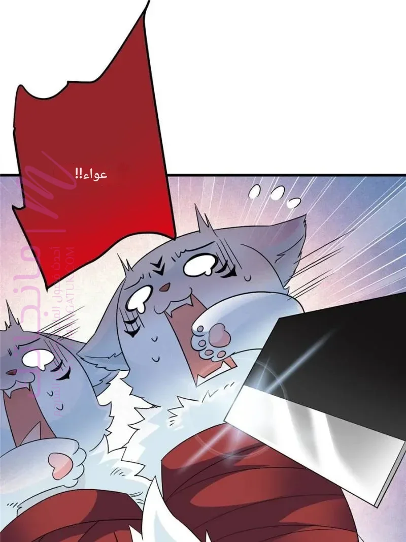 الصفحة 51