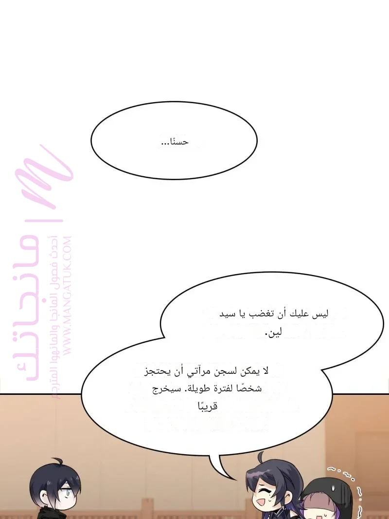الصفحة 27