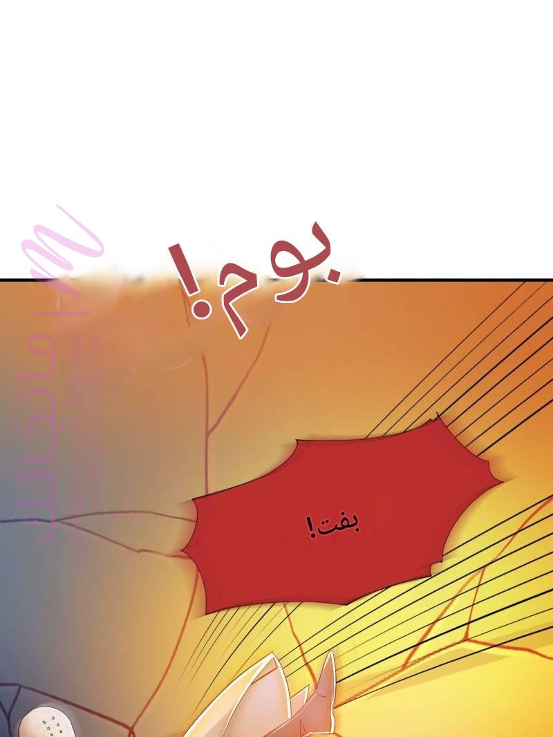 الصفحة 29