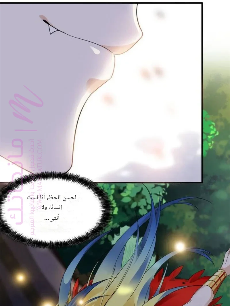 الصفحة 52
