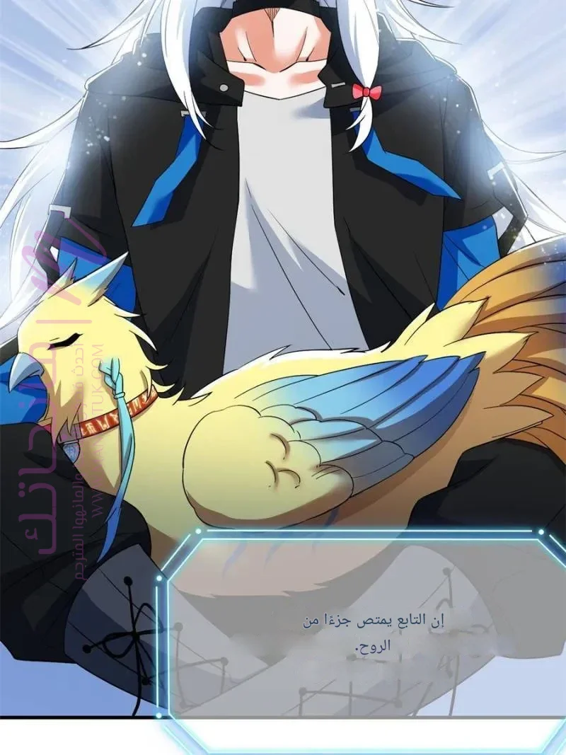 الصفحة 8