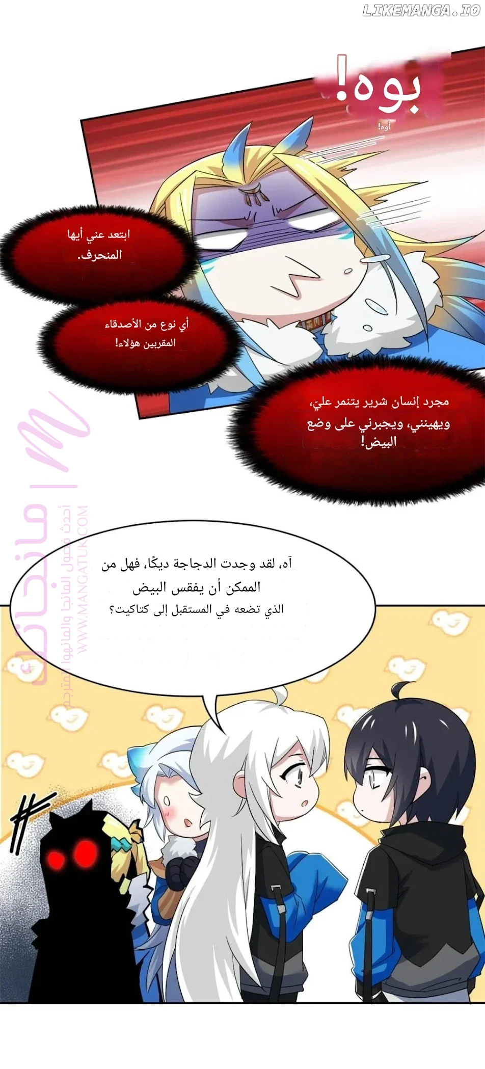 الصفحة 11
