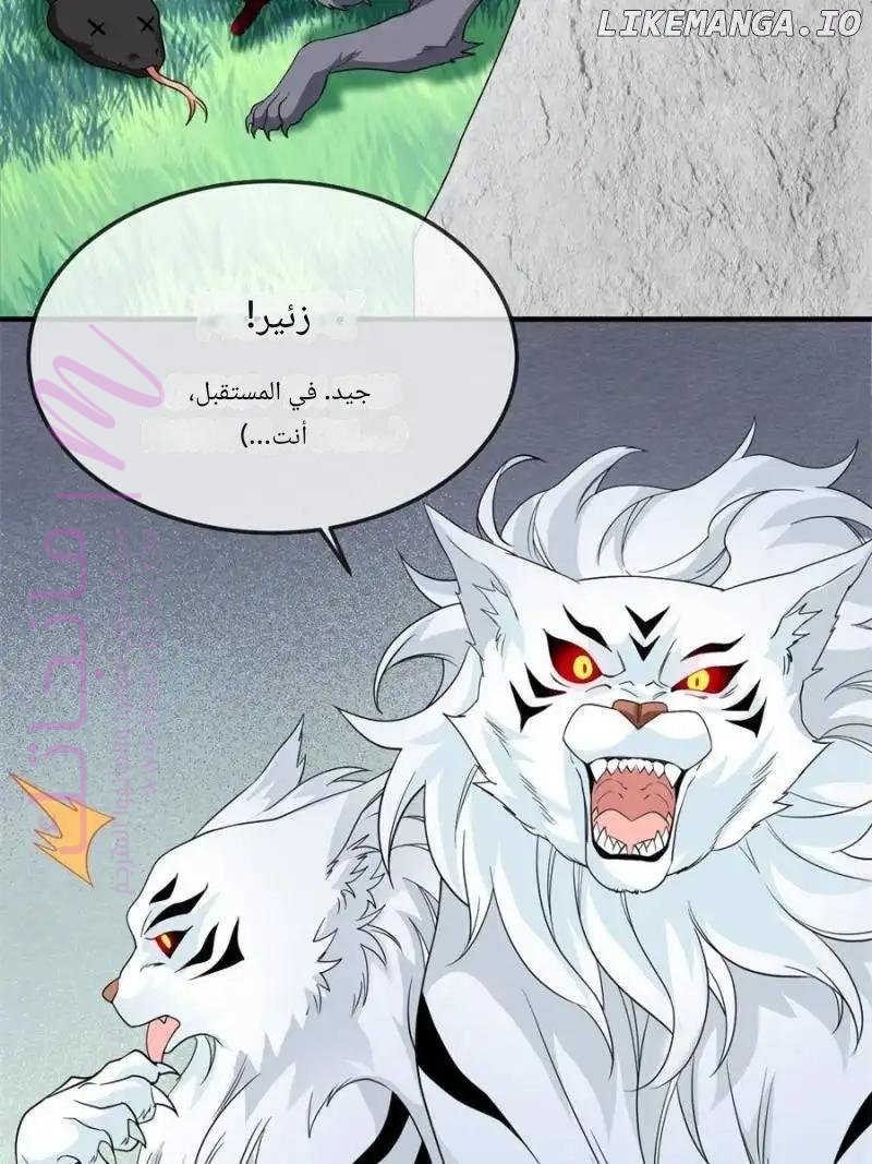 الصفحة 31