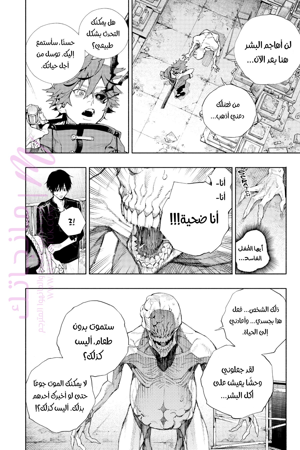 الصفحة 43