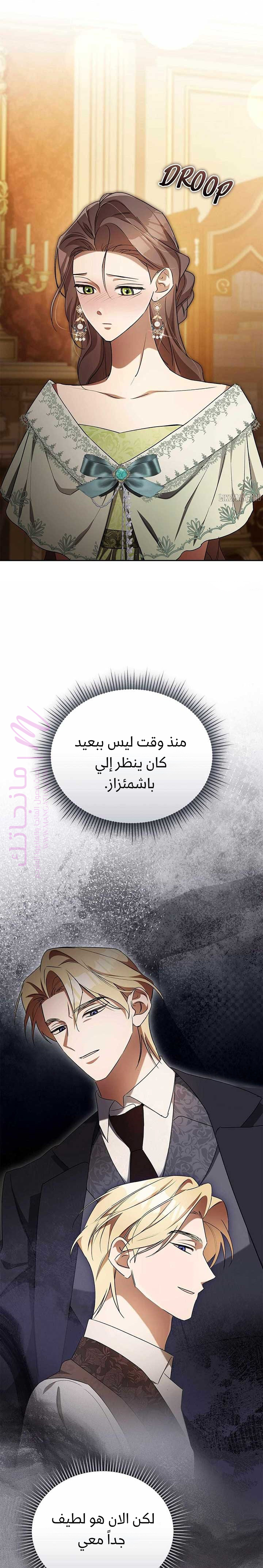 الصفحة 17