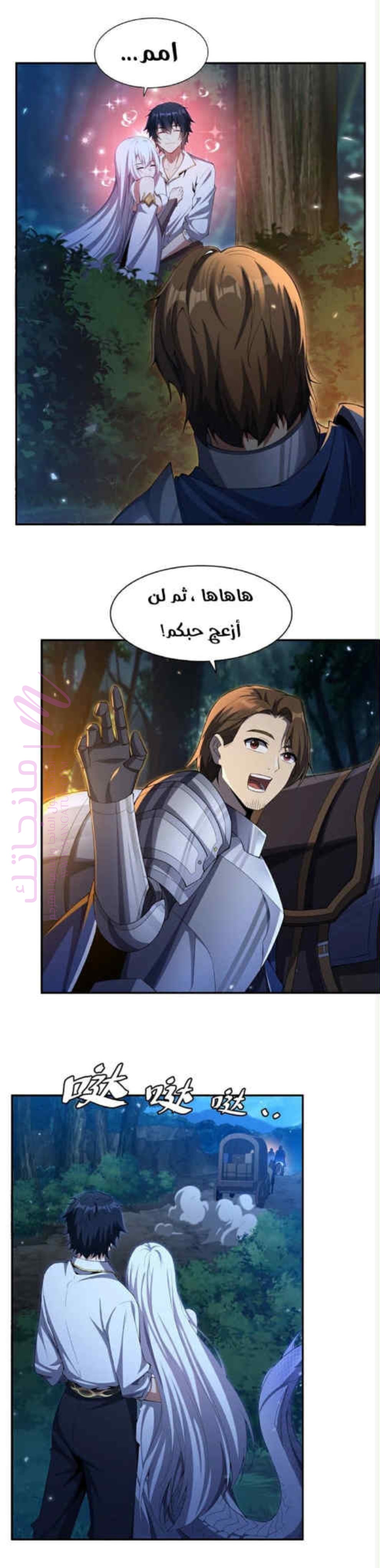 الصفحة 11