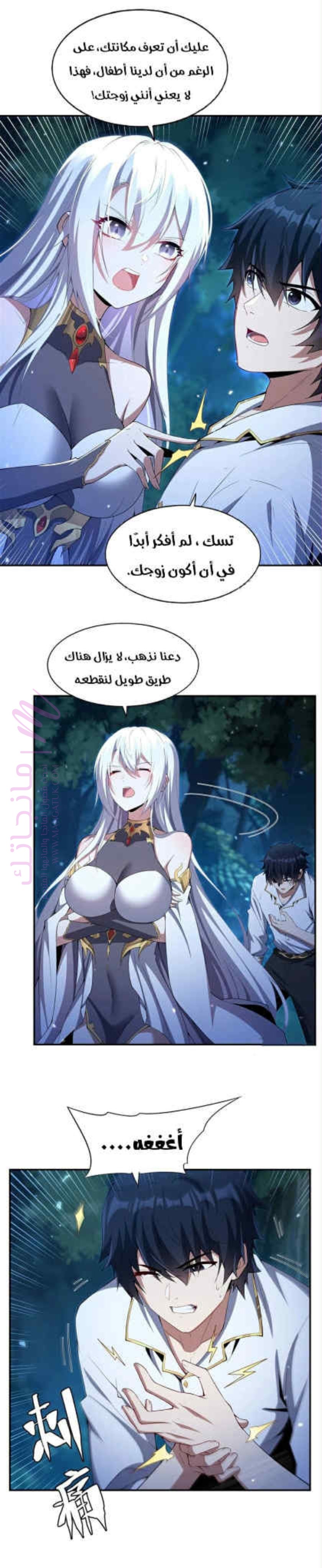 الصفحة 13