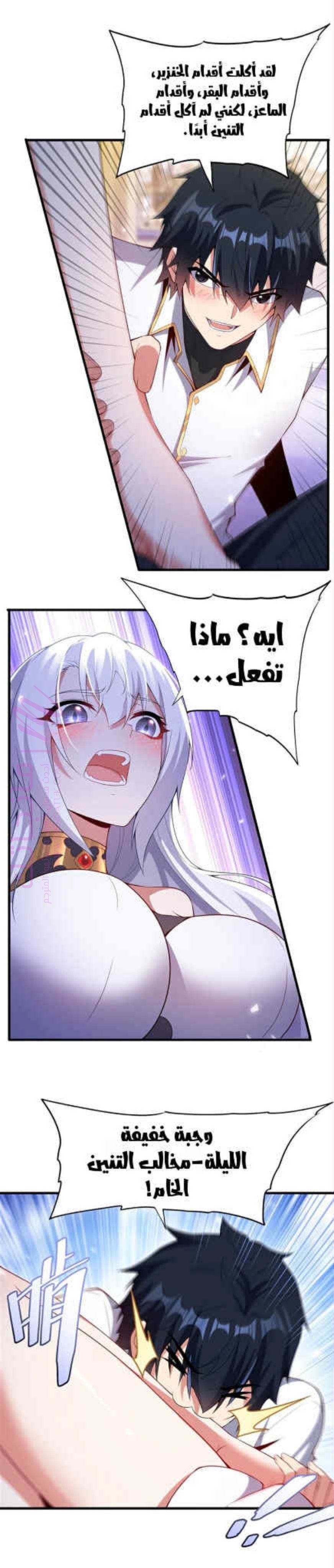 الصفحة 13