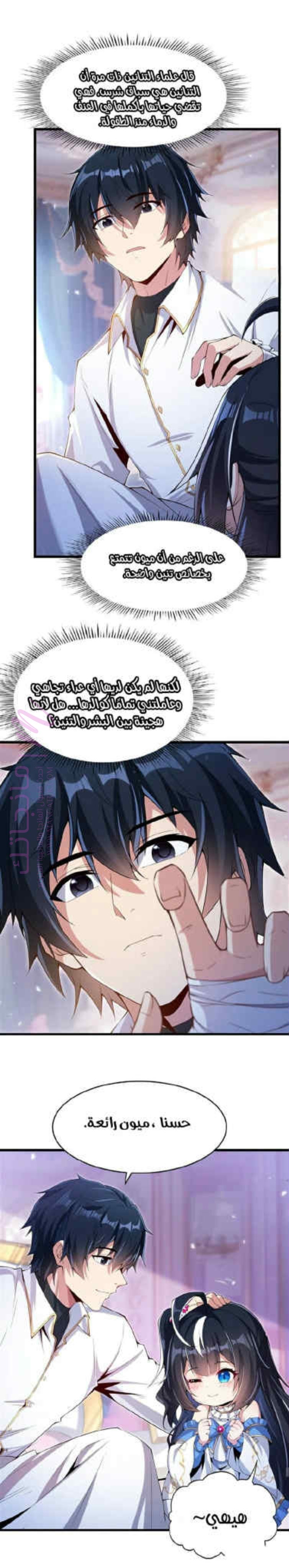 الصفحة 3