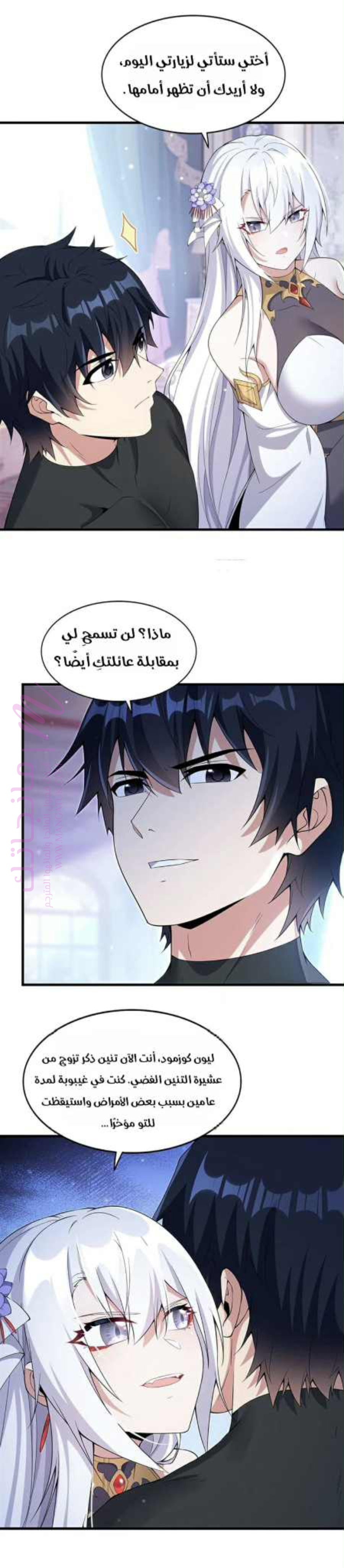 الصفحة 13