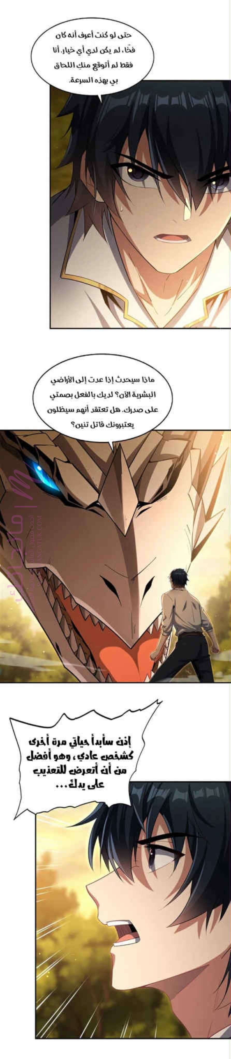 الصفحة 10