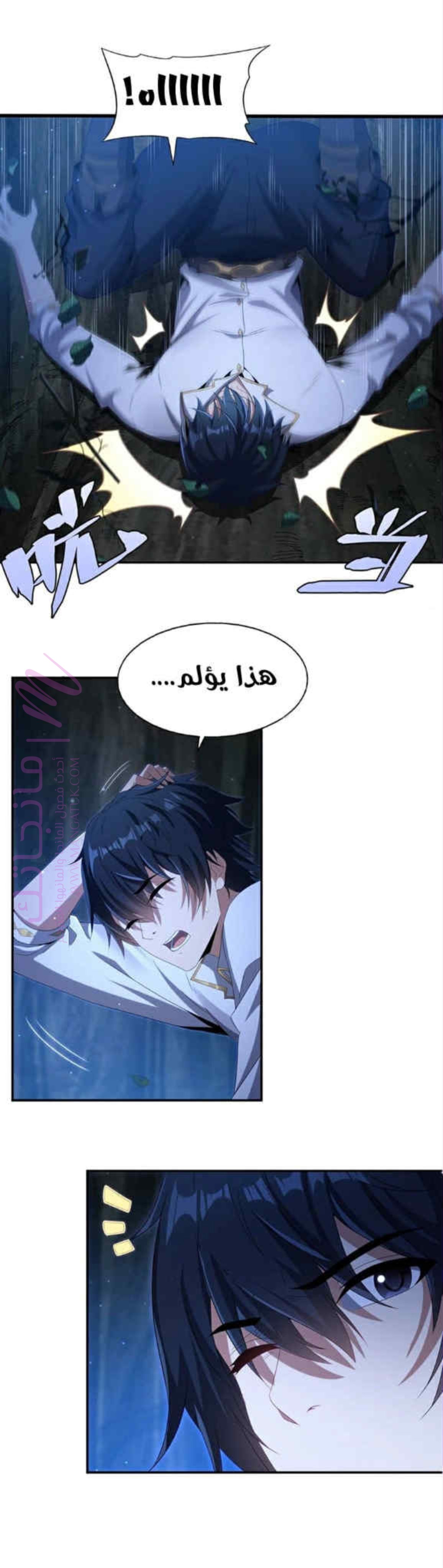 الصفحة 13