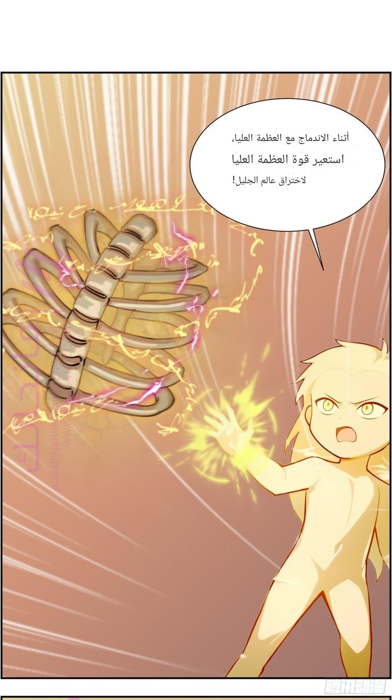 الصفحة 17