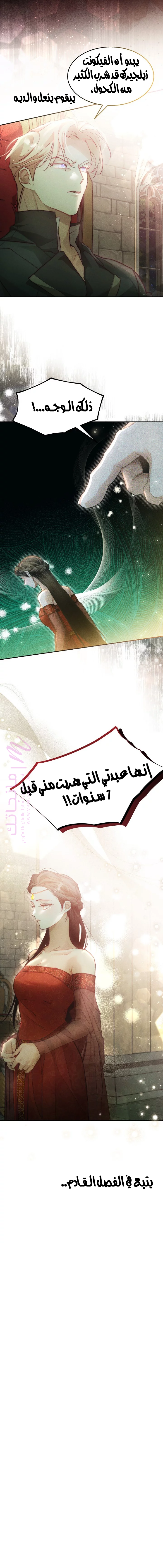 الصفحة 14