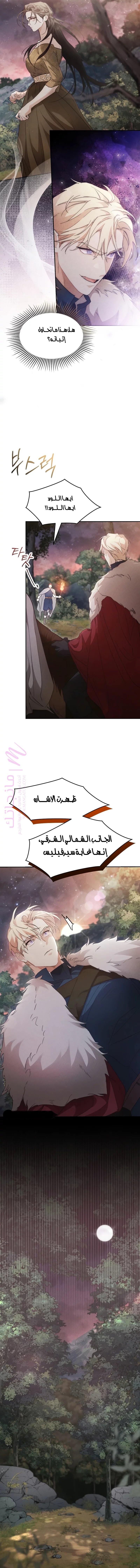 الصفحة 8