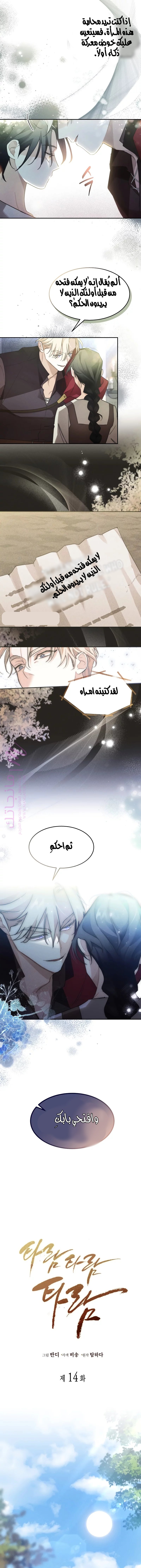 الصفحة 8