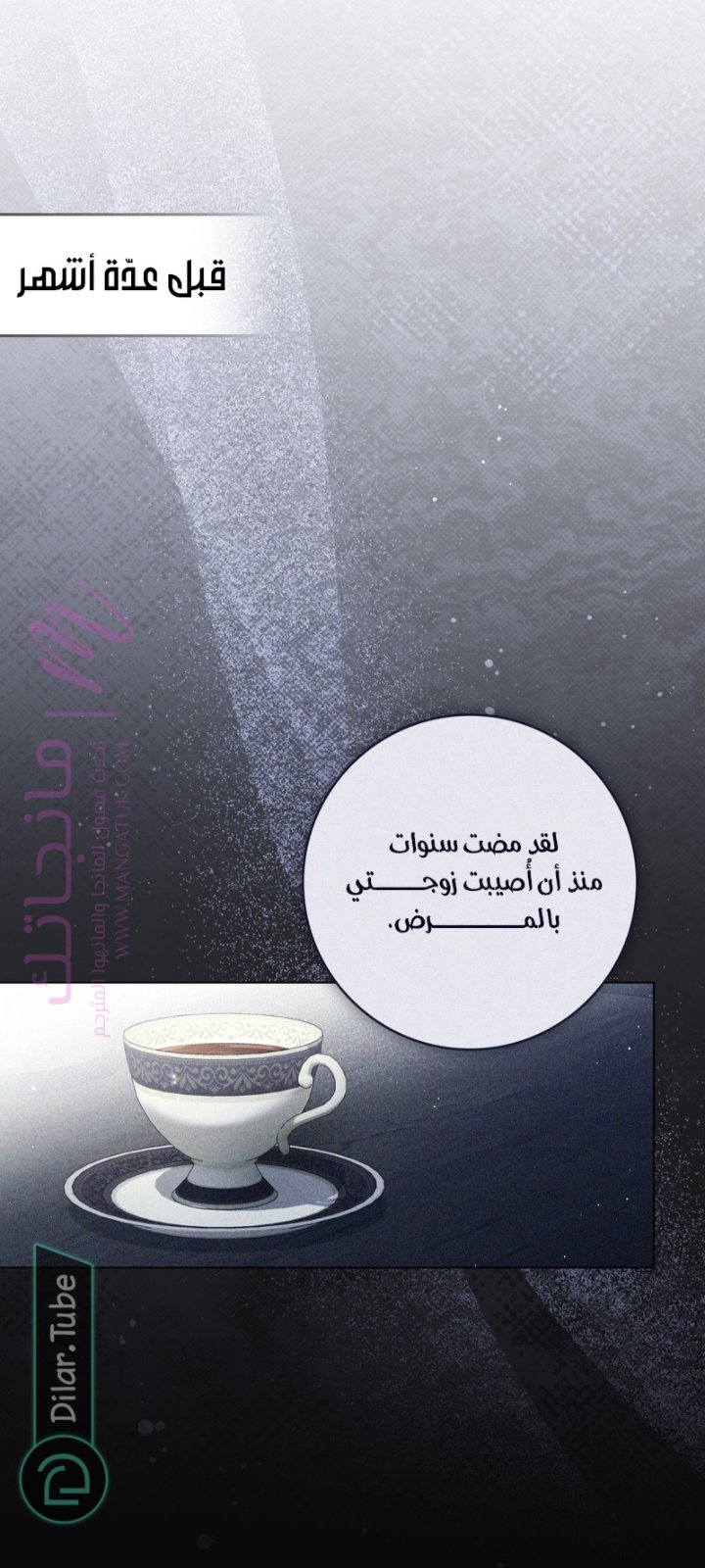 الصفحة 13