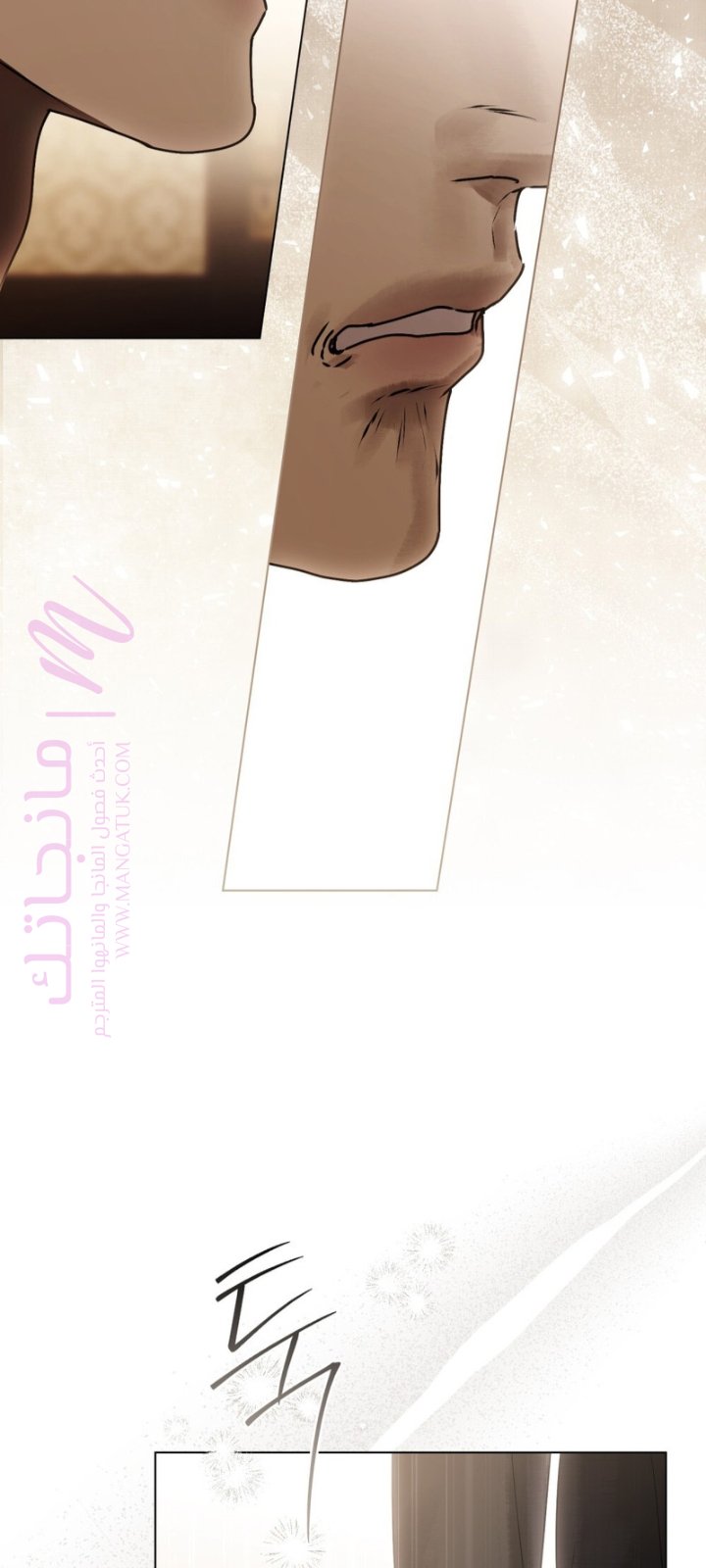 الصفحة 40
