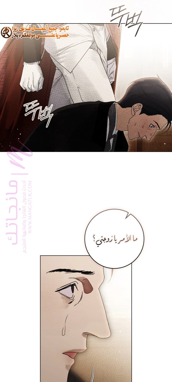 الصفحة 54