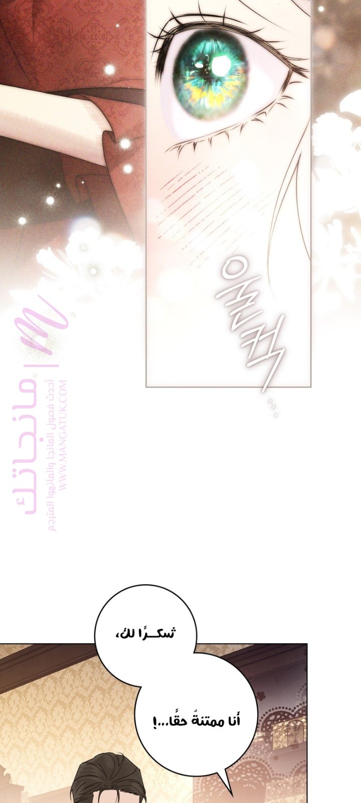الصفحة 17