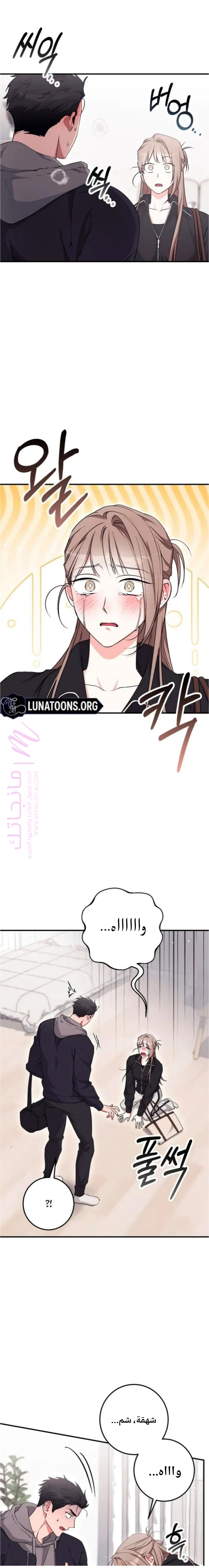 الصفحة 13