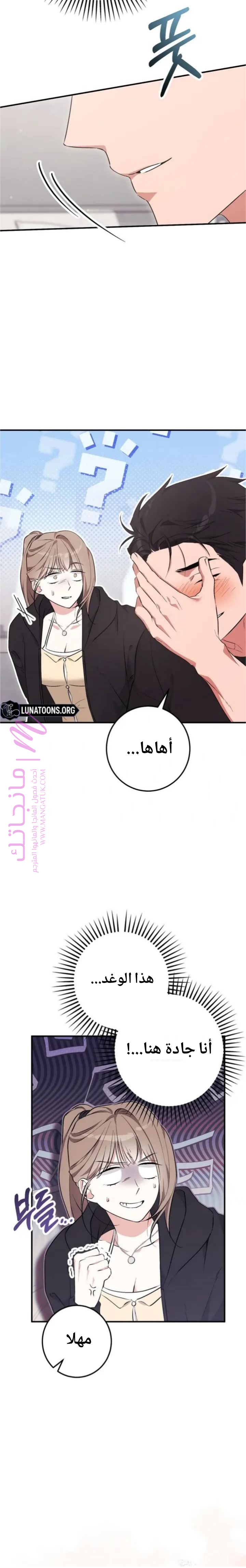 الصفحة 20