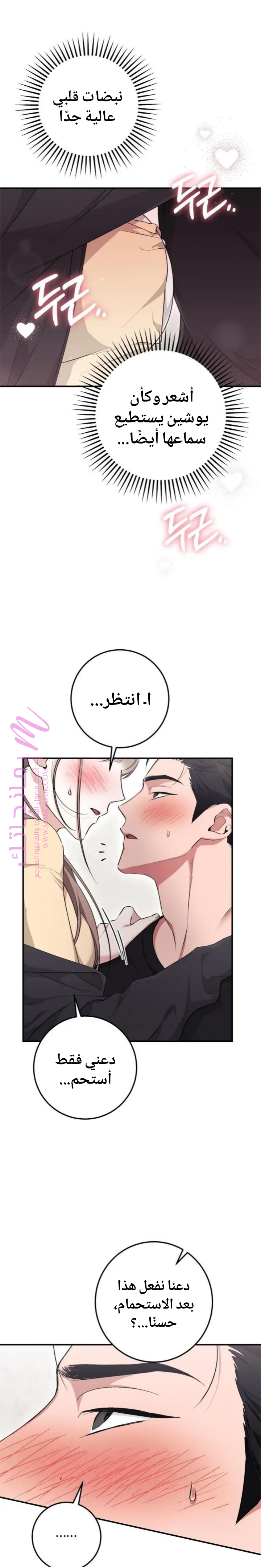 الصفحة 26