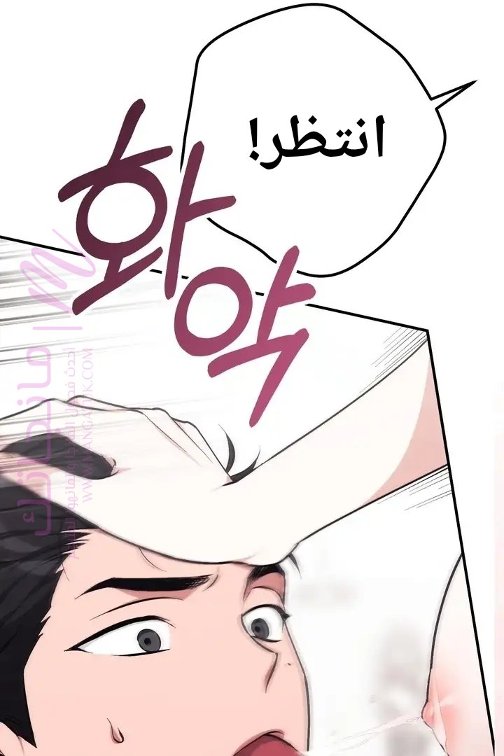 الصفحة 29
