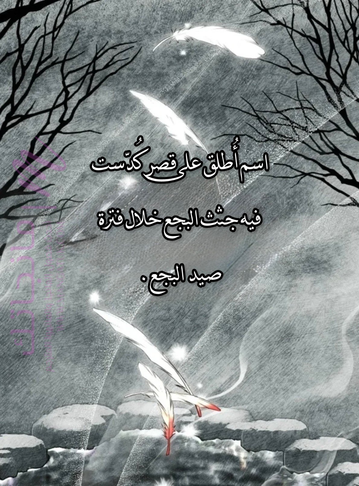 الصفحة 3
