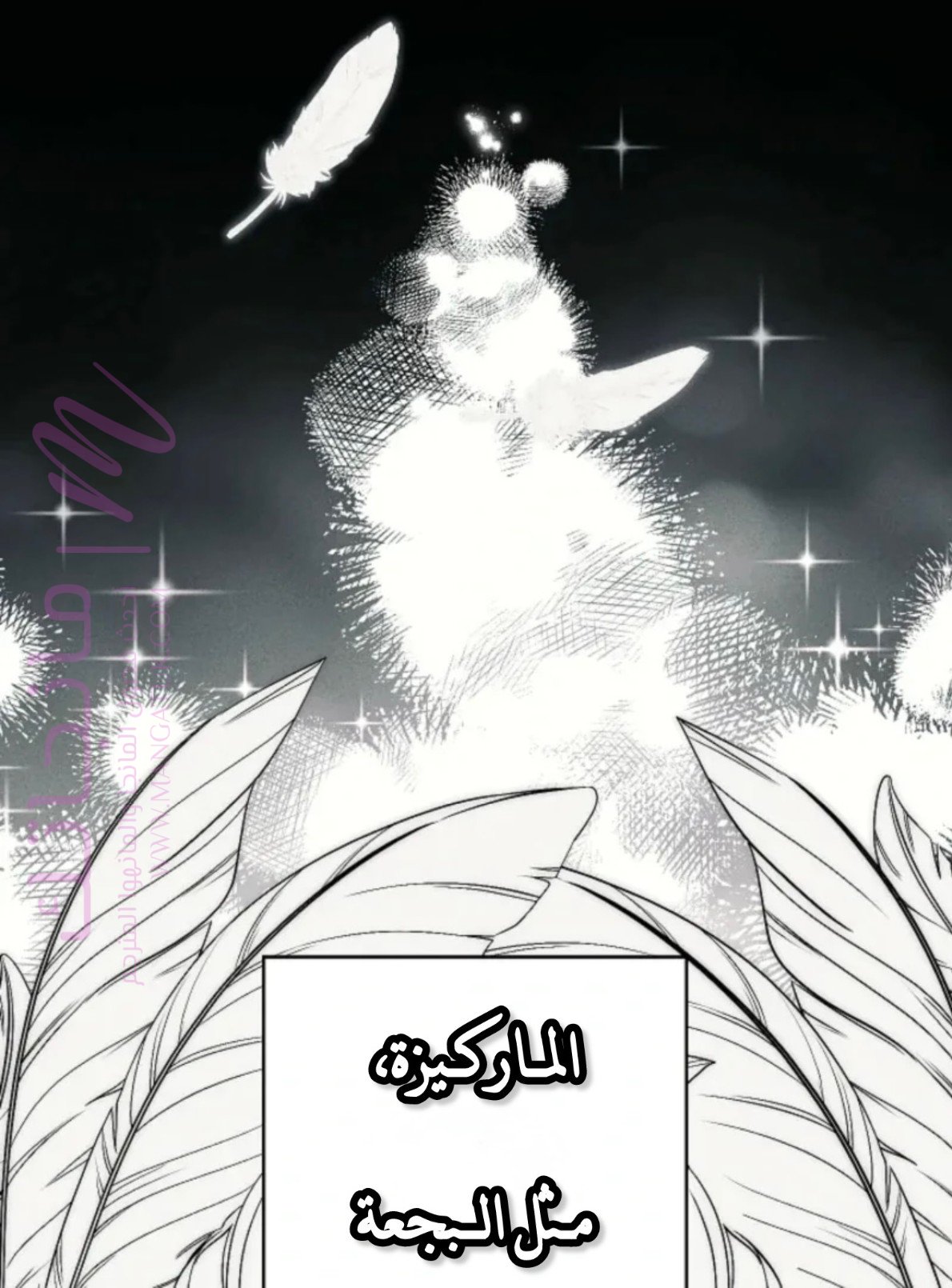 الصفحة 37