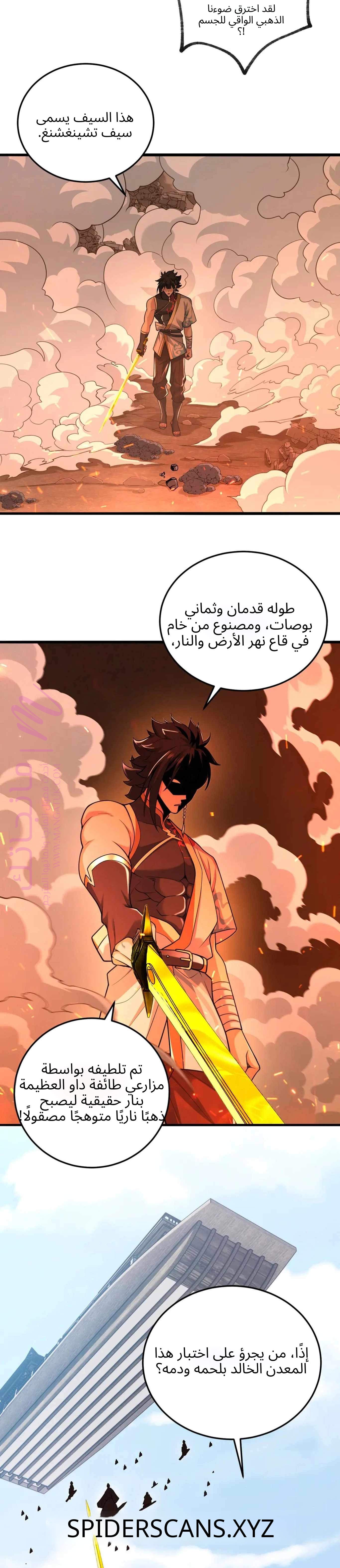 الصفحة 11