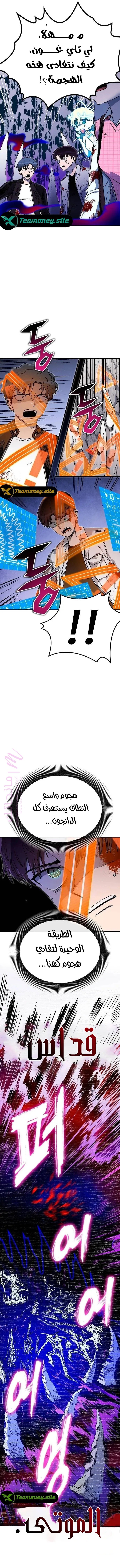 الصفحة 13