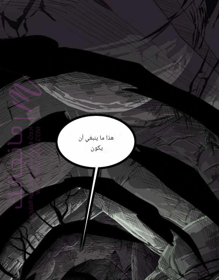 الصفحة 43