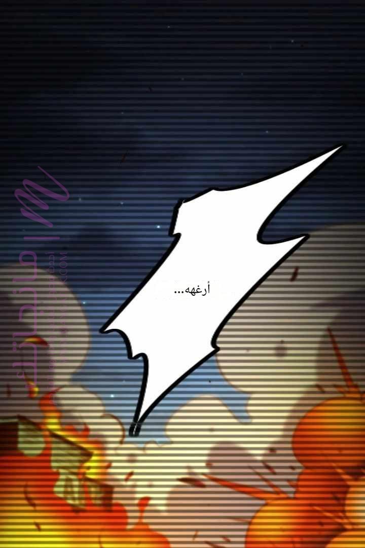الصفحة 2
