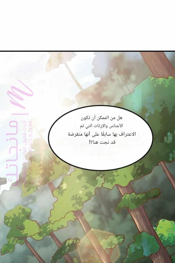 الصفحة 42