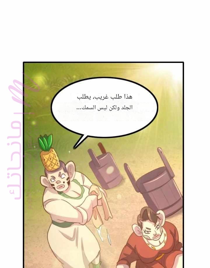 الصفحة 17