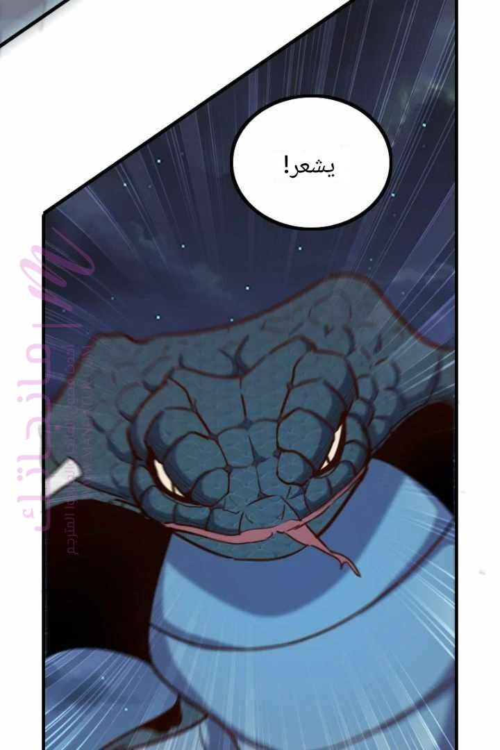 الصفحة 45