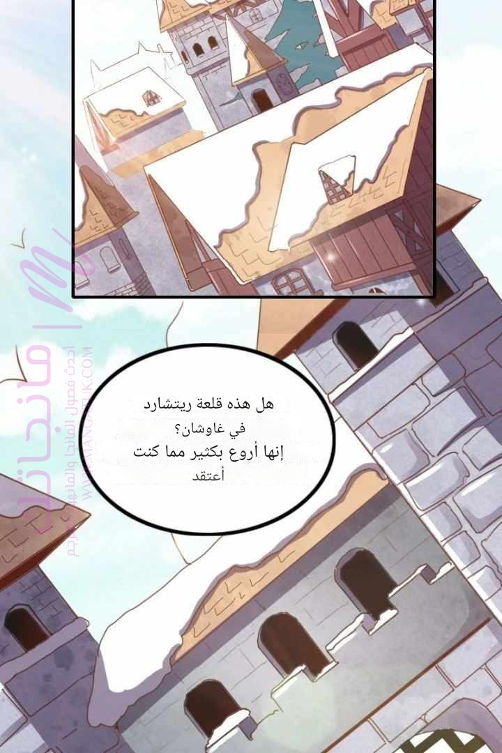 الصفحة 21