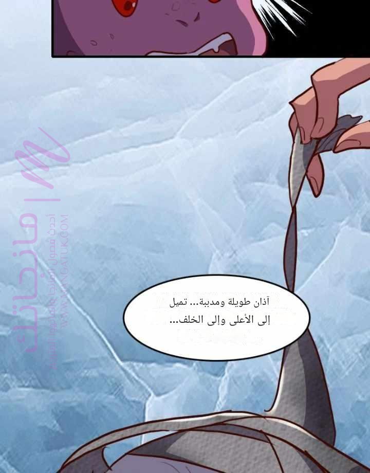 الصفحة 53