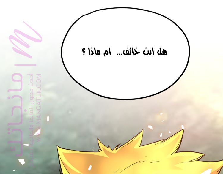 الصفحة 46