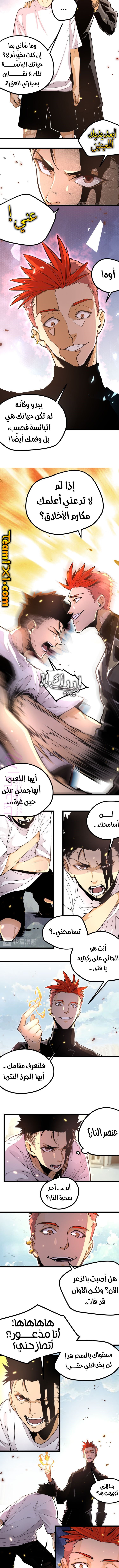 الصفحة 3