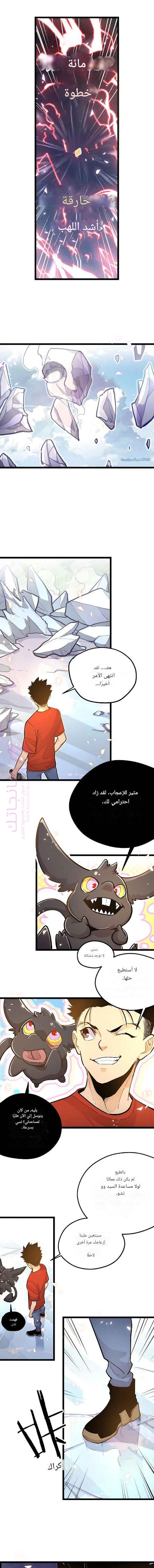 الصفحة 3