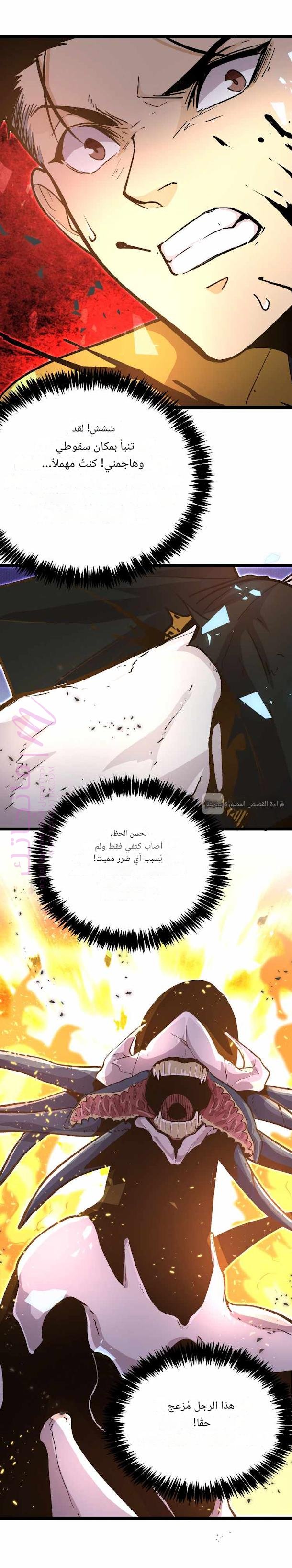 الصفحة 12
