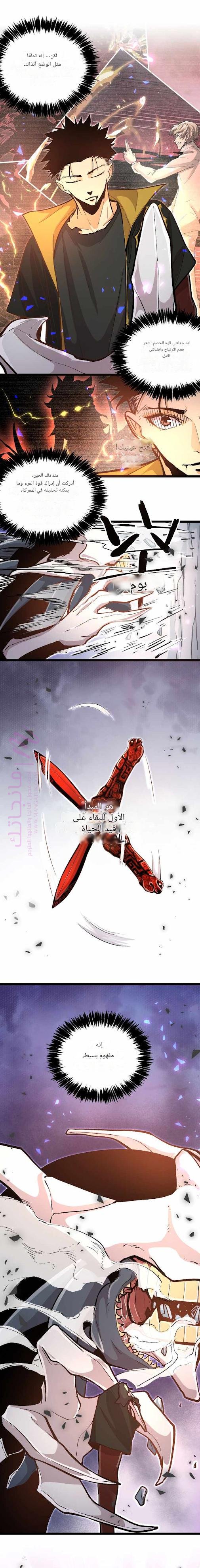 الصفحة 13