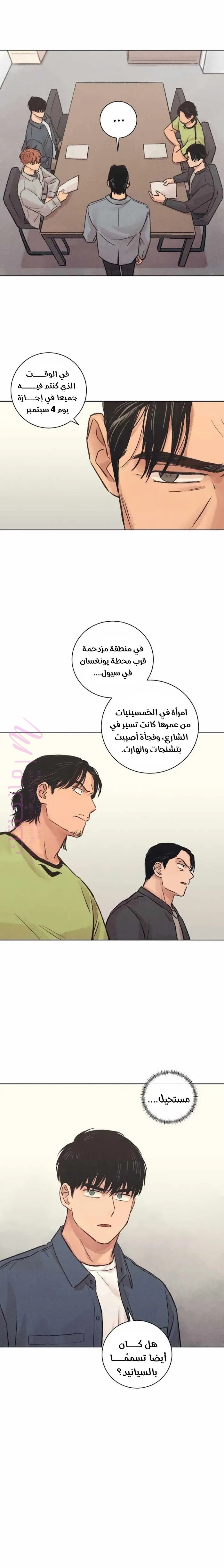 الصفحة 19