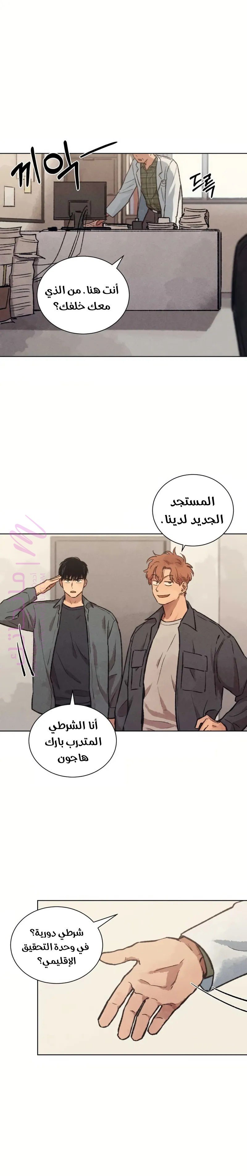 الصفحة 3