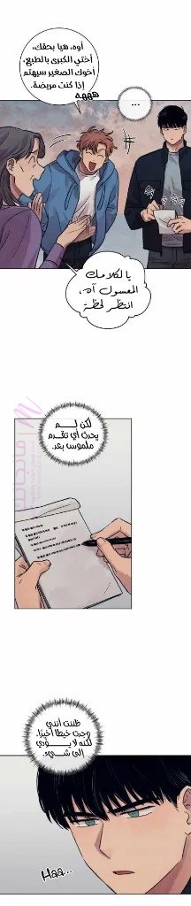 الصفحة 17