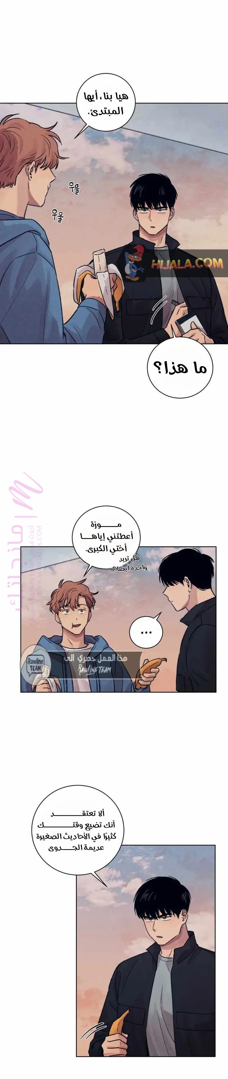 الصفحة 18