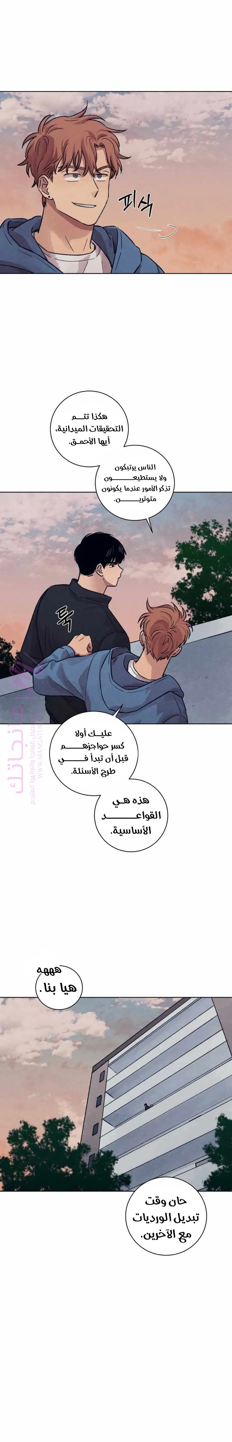 الصفحة 19