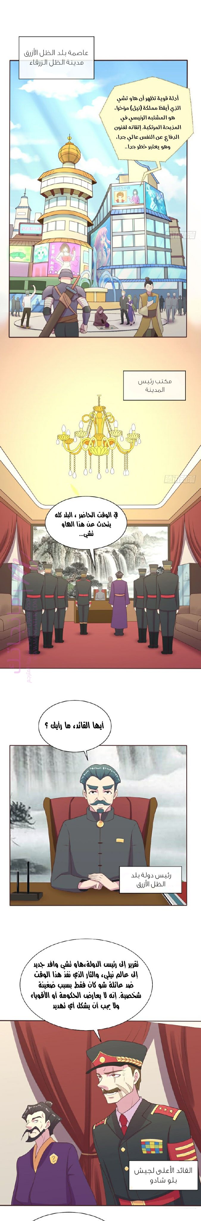 الصفحة 13